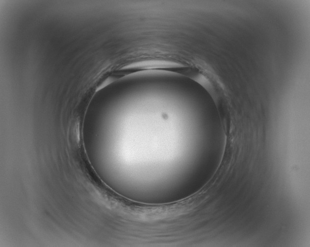 X0000081280021200701181755