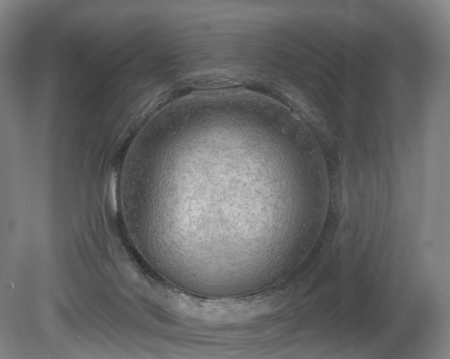 X0000081280022200701181755