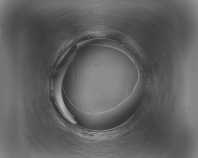 X0000081280023200701181755