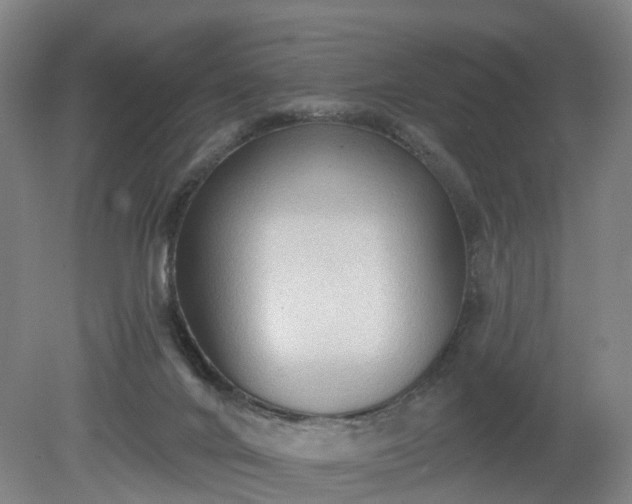 X0000081280024200701181755