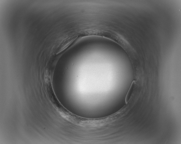 X0000081280025200701181755