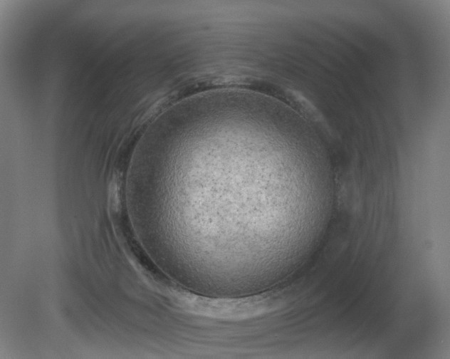 X0000081280026200701181755