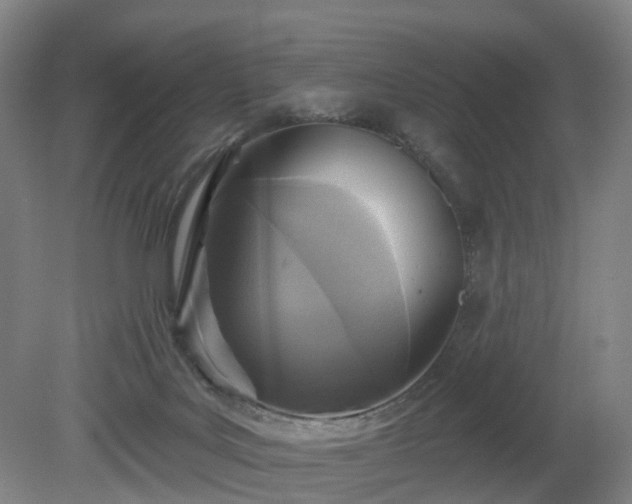 X0000081280027200701181755