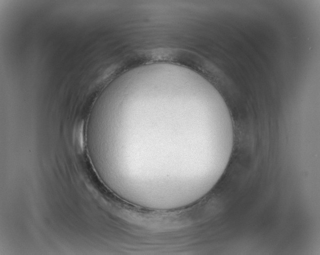 X0000081280028200701181755