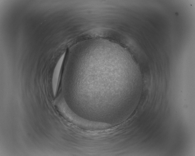 X0000081280029200701181754