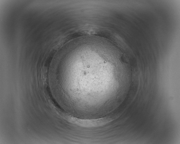 X0000081280030200701181754