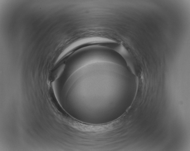 X0000081280031200701181754