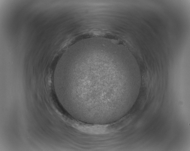 X0000081280032200701181754