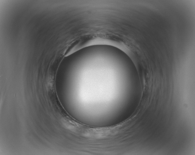 X0000081280033200701181754