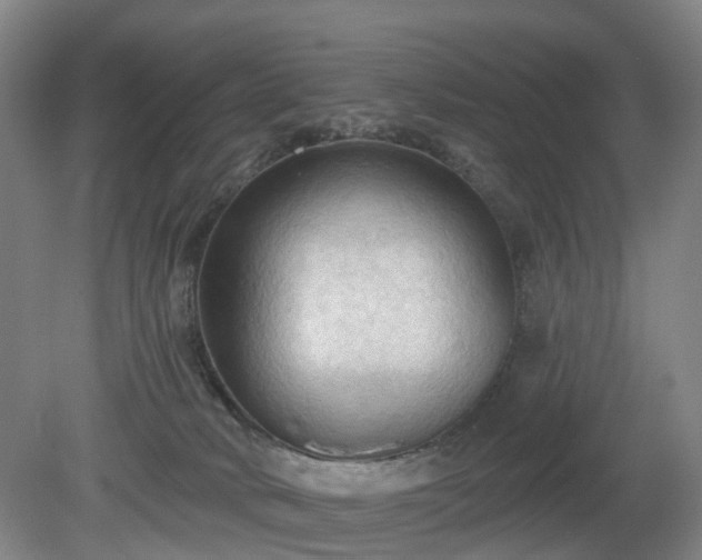 X0000081280034200701181754