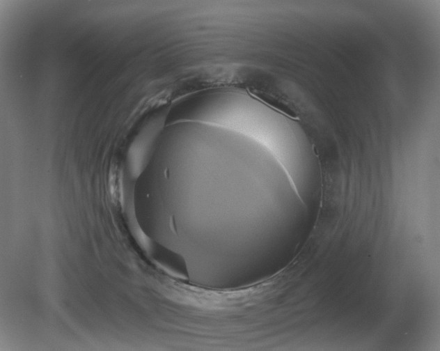 X0000081280035200701181754