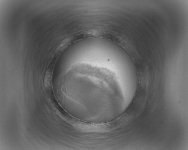 X0000081280036200701181754