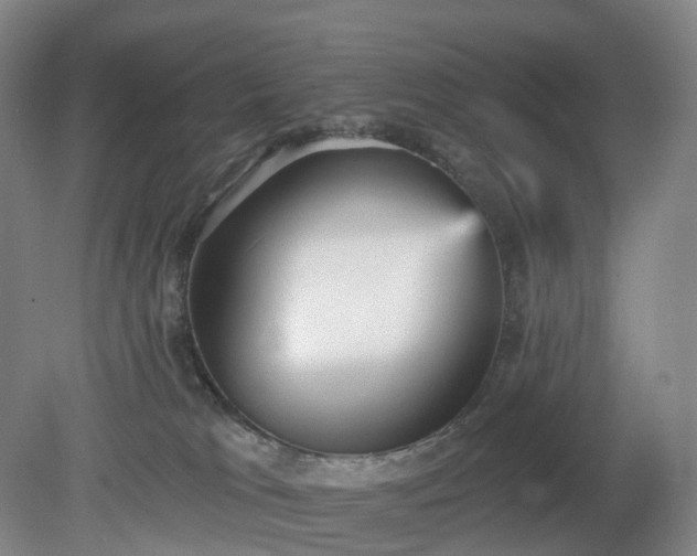 X0000081280037200701181754