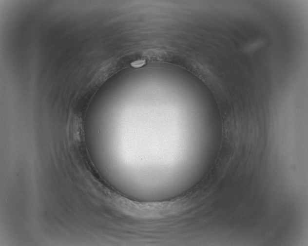 X0000081280038200701181754