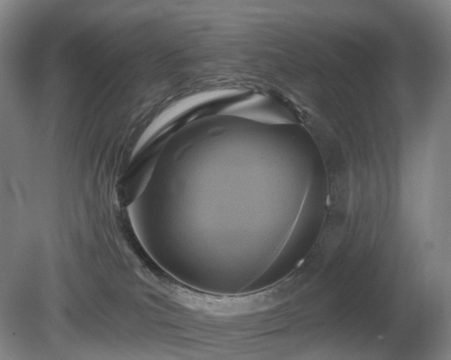 X0000081280039200701181754