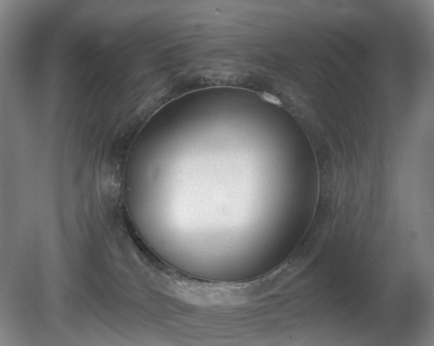 X0000081280040200701181754