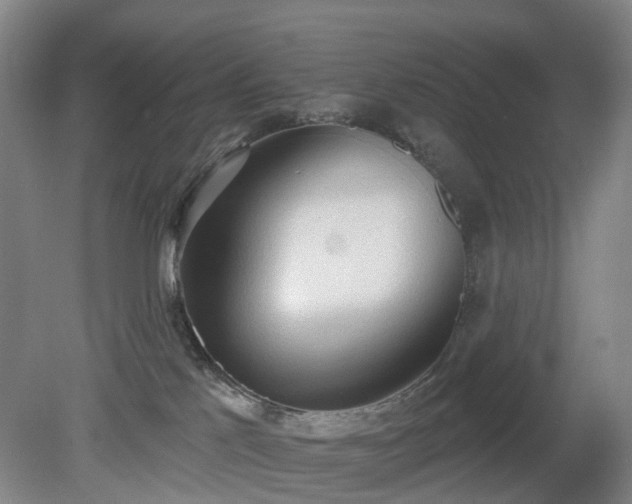 X0000081280041200701181754