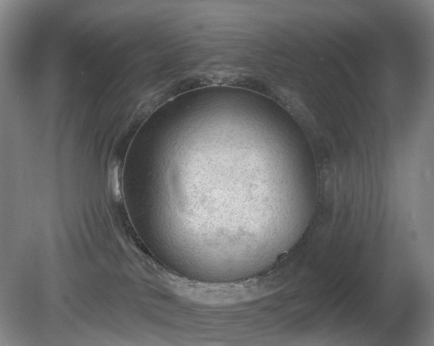 X0000081280042200701181754