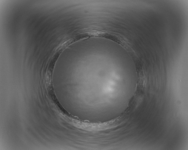 X0000081280043200701181754