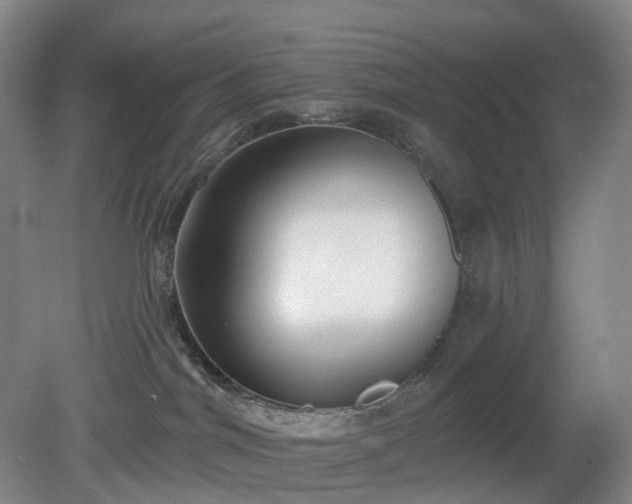 X0000081280044200701181754