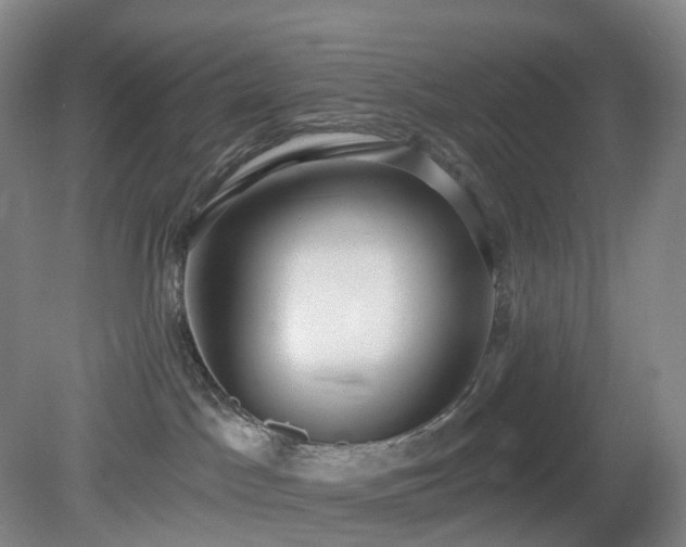 X0000081280045200701181754