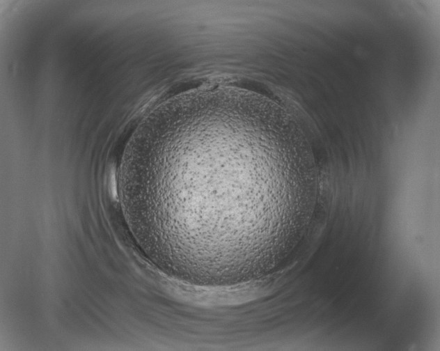 X0000081280046200701181754