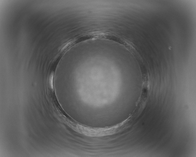 X0000081280047200701181754