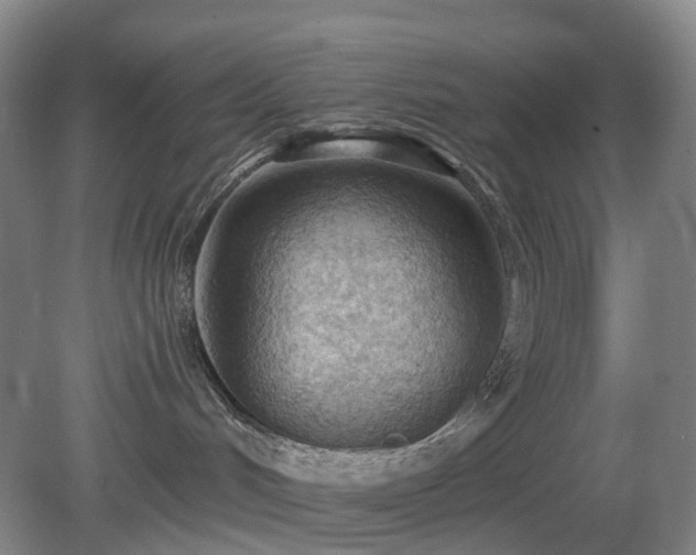 X0000081280048200701181754