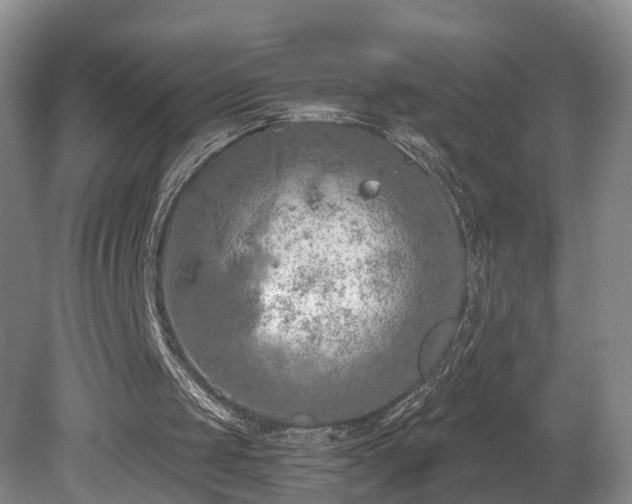 X0000081280049200701181753