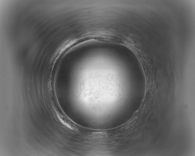 X0000081280050200701181753