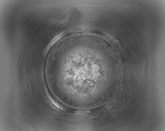 X0000081280051200701181753