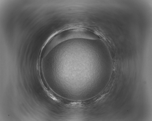 X0000081280052200701181753