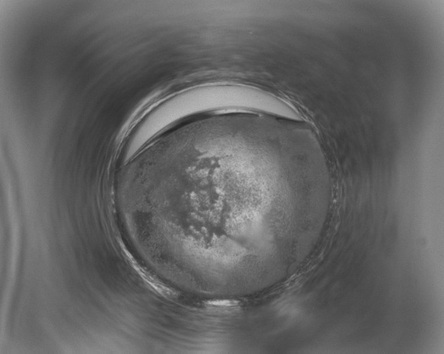 X0000081280053200701181753