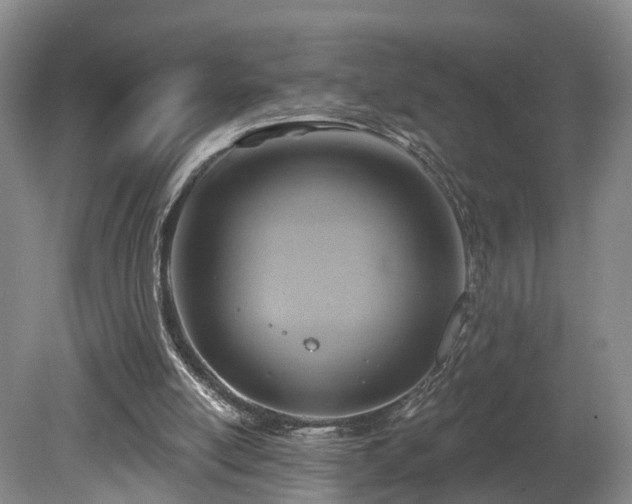 X0000081280054200701181753