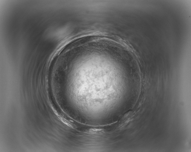 X0000081280055200701181753