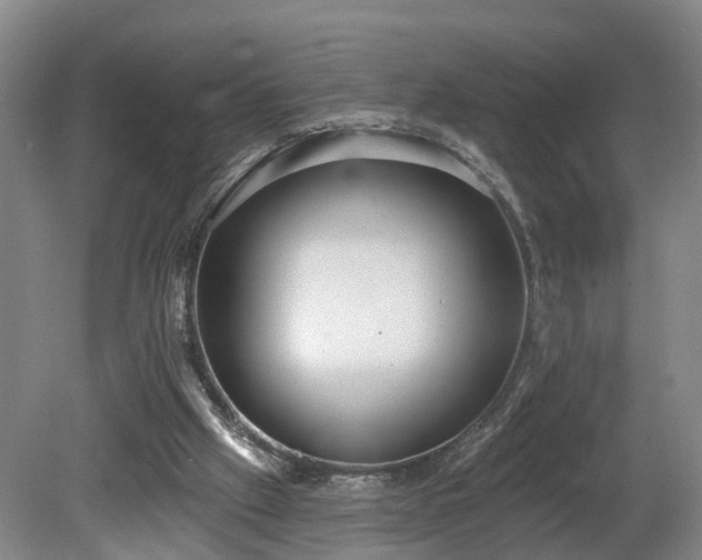 X0000081280057200701181753