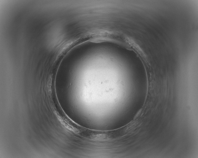 X0000081280058200701181754