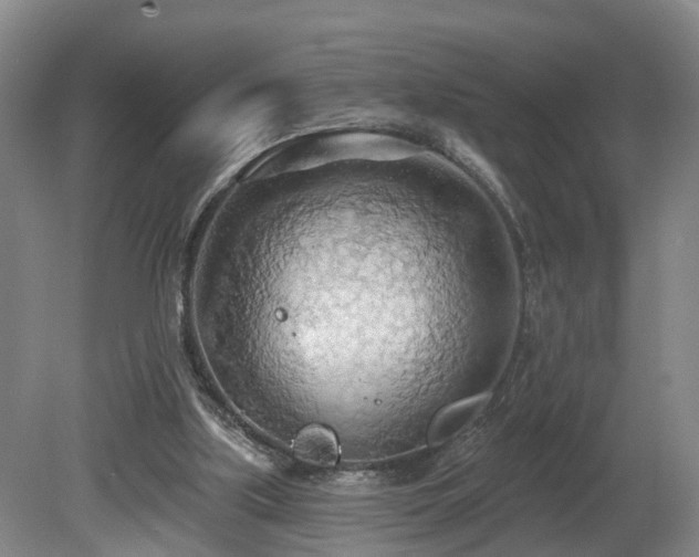 X0000081280059200701181754