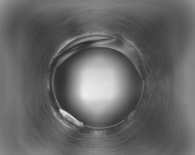 X0000081280060200701181754