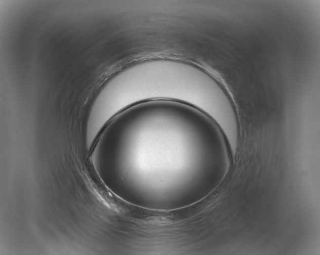 X0000081280061200701181754