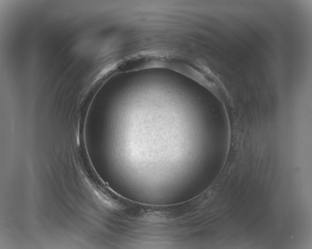 X0000081280062200701181754