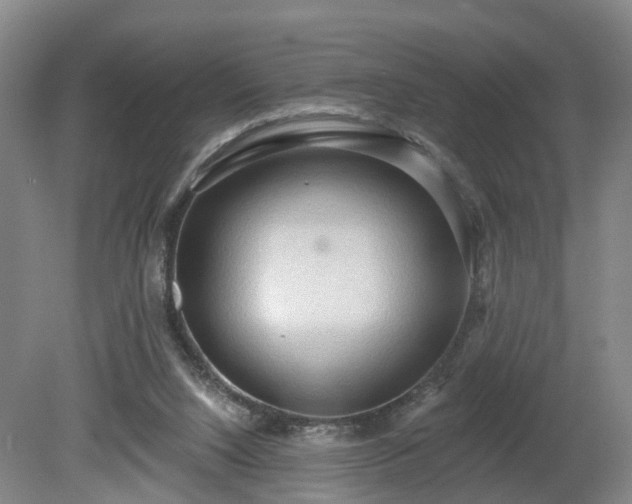 X0000081280064200701181754