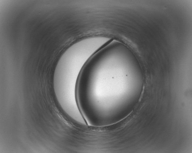 X0000081280065200701181754