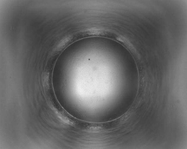 X0000081280066200701181754