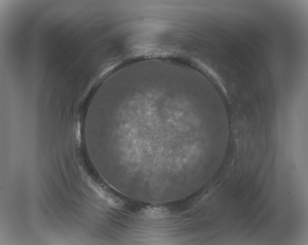 X0000081280067200701181754