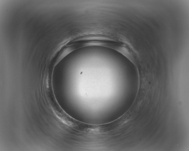 X0000081280068200701181754