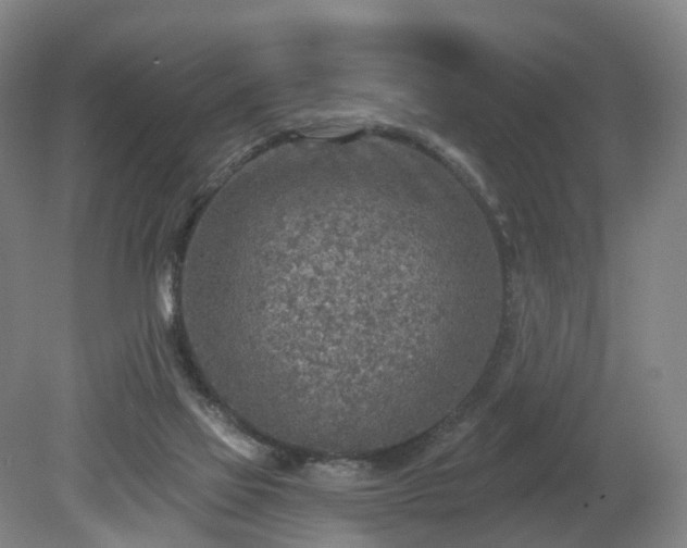 X0000081280069200701181754