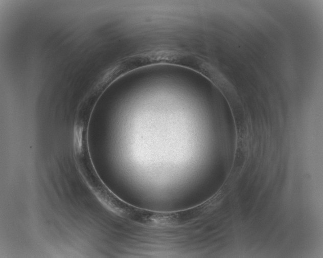 X0000081280070200701181754