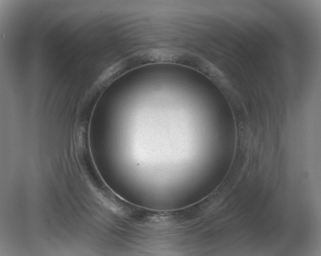 X0000081280071200701181754