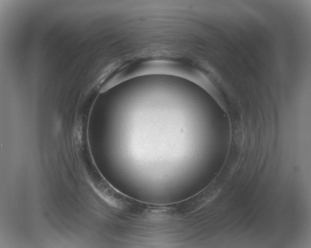 X0000081280072200701181754